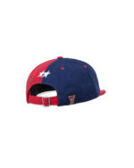 TwoJeys Mismatched Navy Dad Cap back