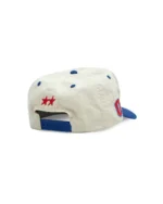 TwoJeys Panther Cap Back